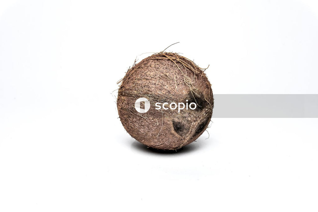 Coconut on white surface