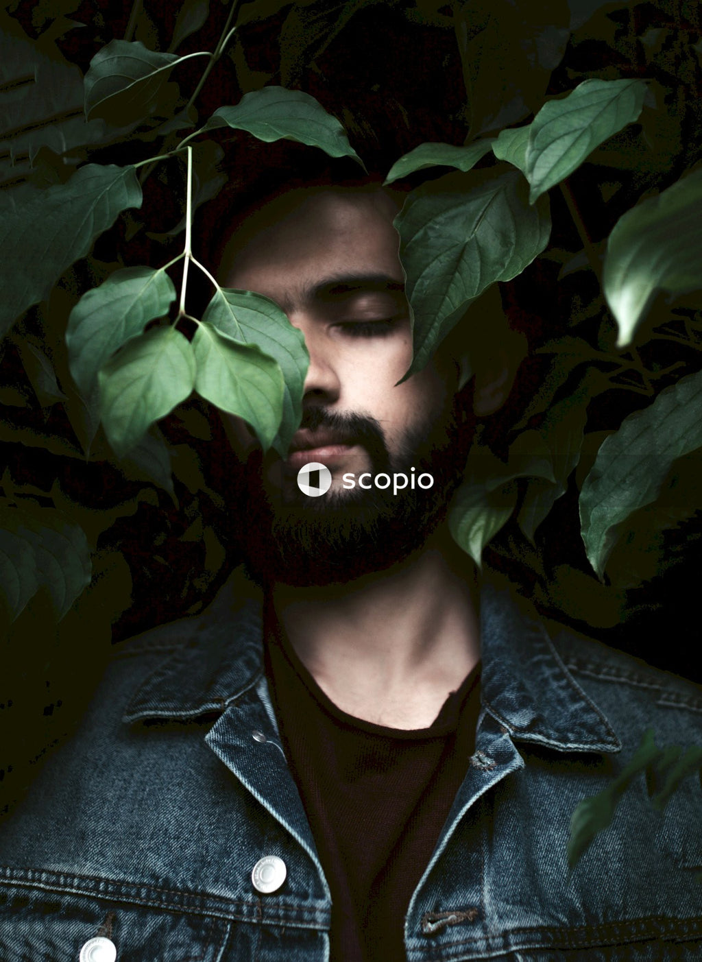 Man in denim jacket covering face with green leaves