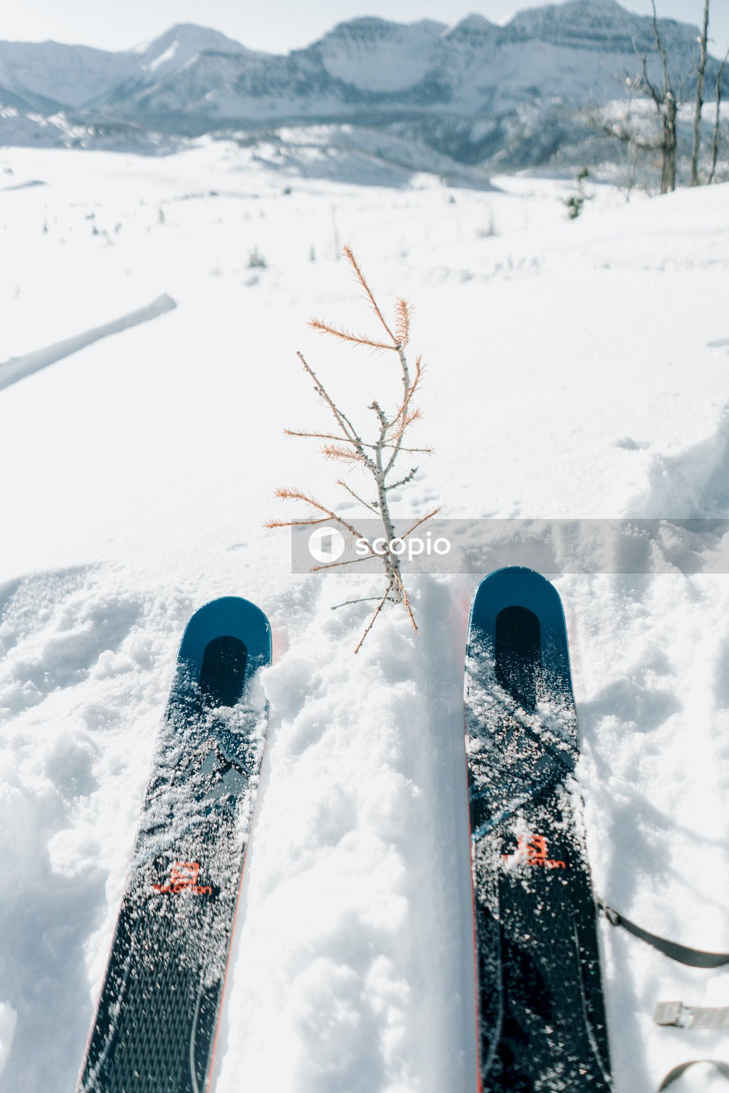 Blue ski blades on snow covered ground