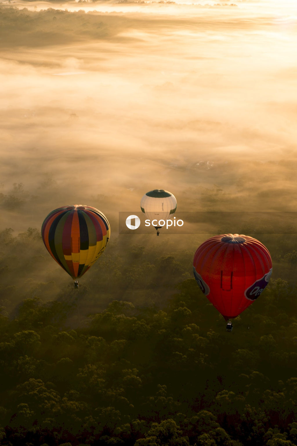 Hot air balloons on the sky