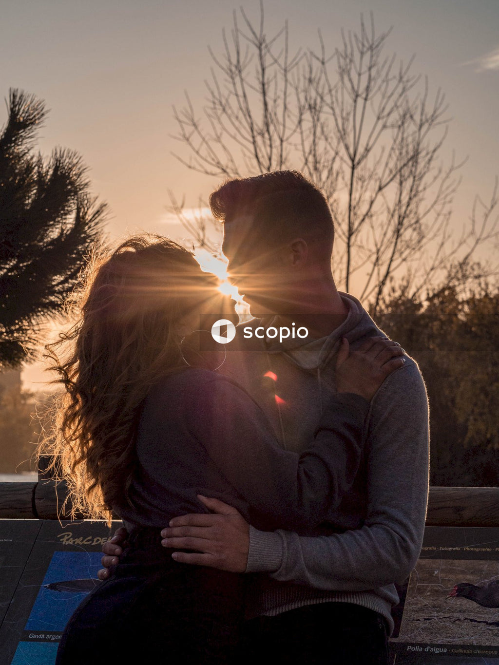 Man in gray sweater kissing woman in brown sweater during sunset