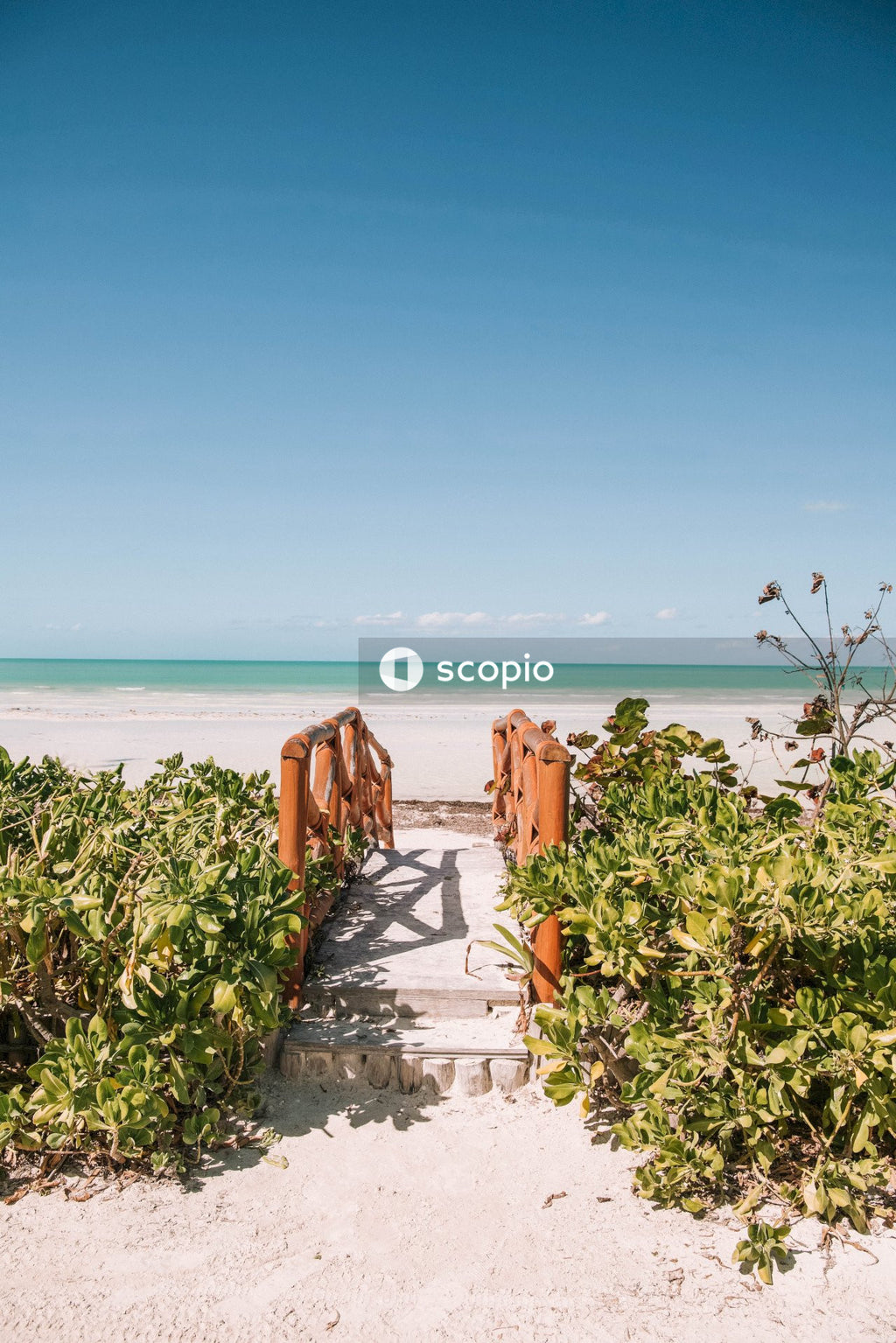 Small bridge on sand with plants near ocean