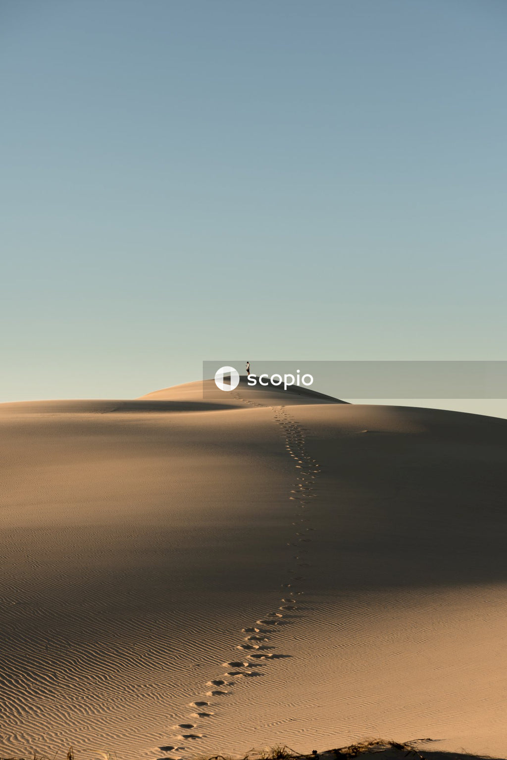 Footstep on sand in the desert