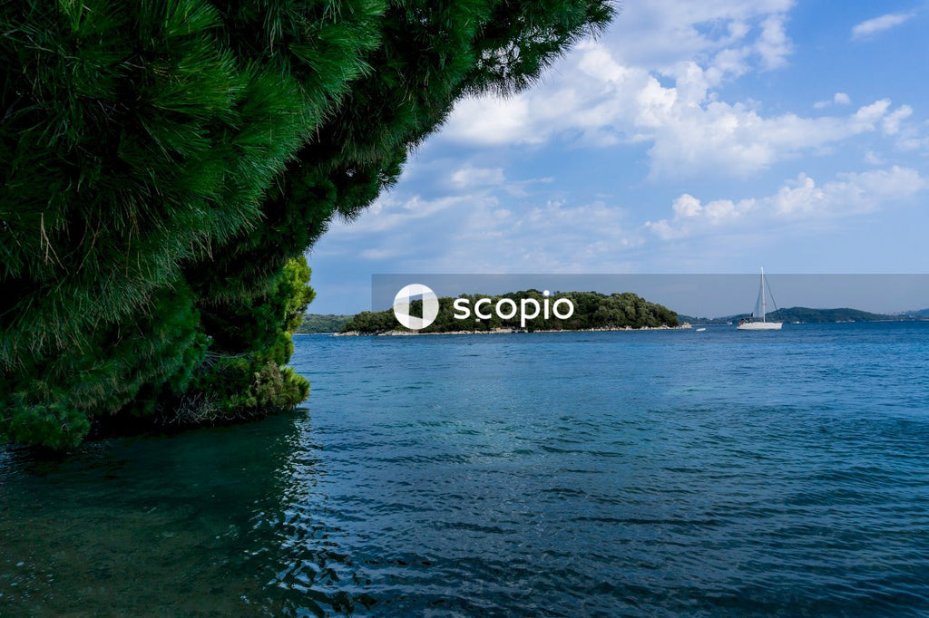 Green trees on island
