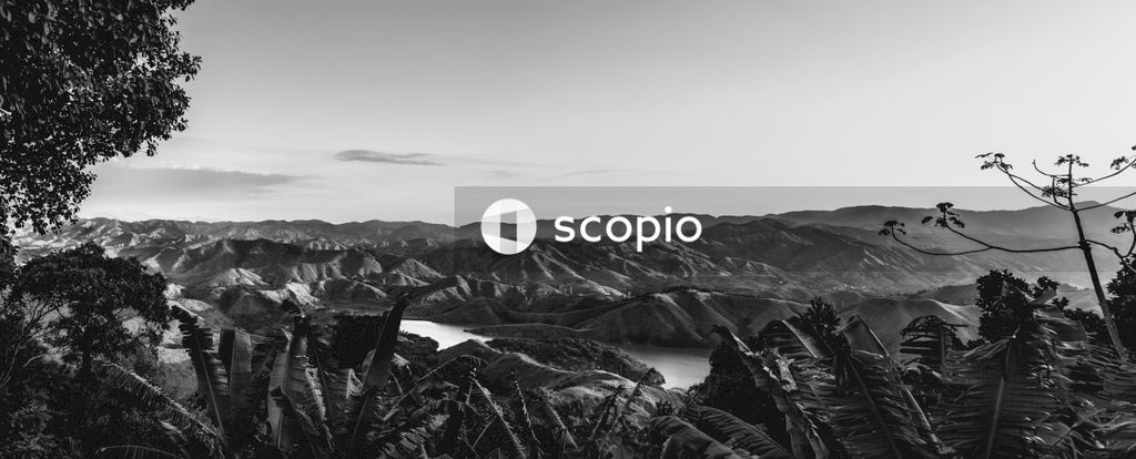 Grayscale photo of mountains and river