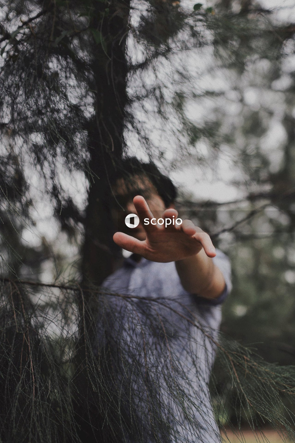 Man standing near tree