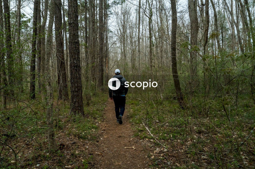 Backpacker Explores Forest Trail Surrounded by Towering Trees