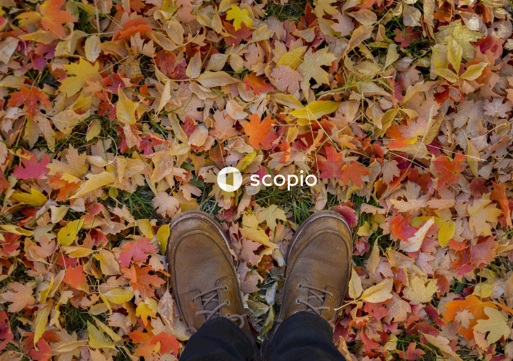 Person Wearing Brown Shoes Standing on Yellow Tree Leaves