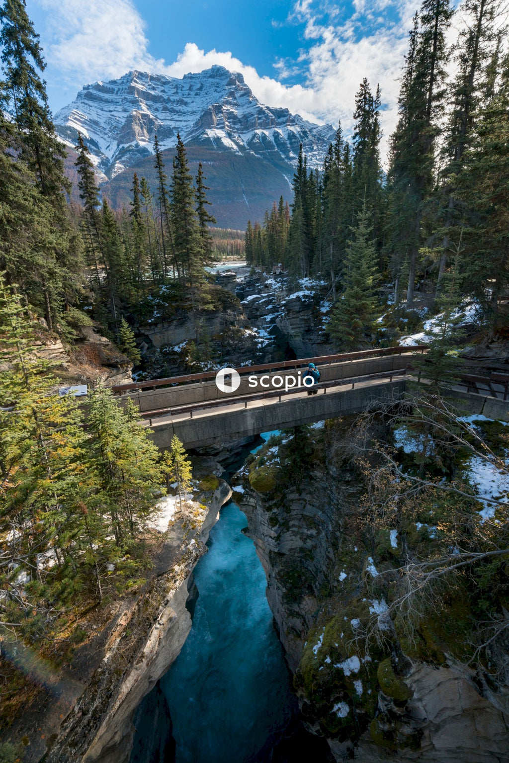 Hiker on bridge