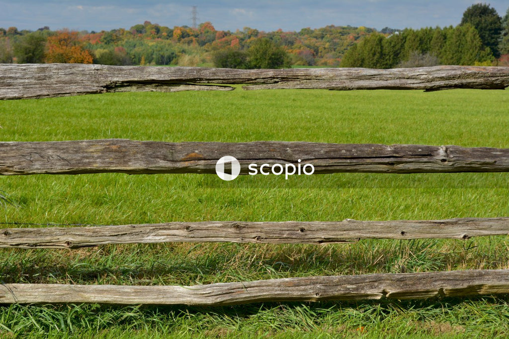 Brown wooden fence on green grass field