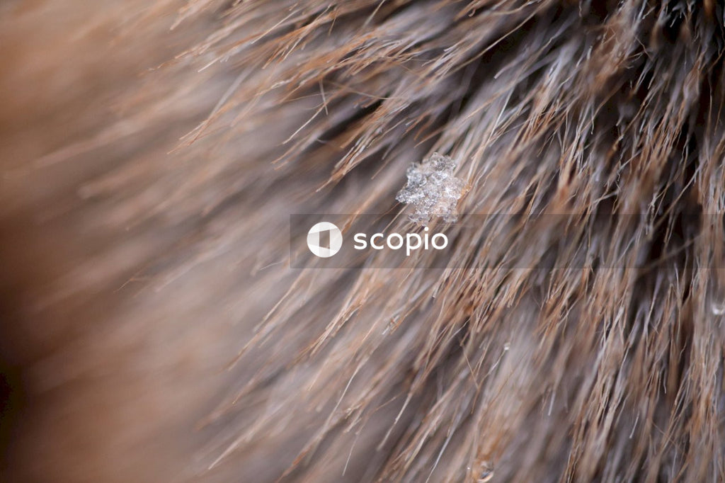 Water droplets on brown wooden surface