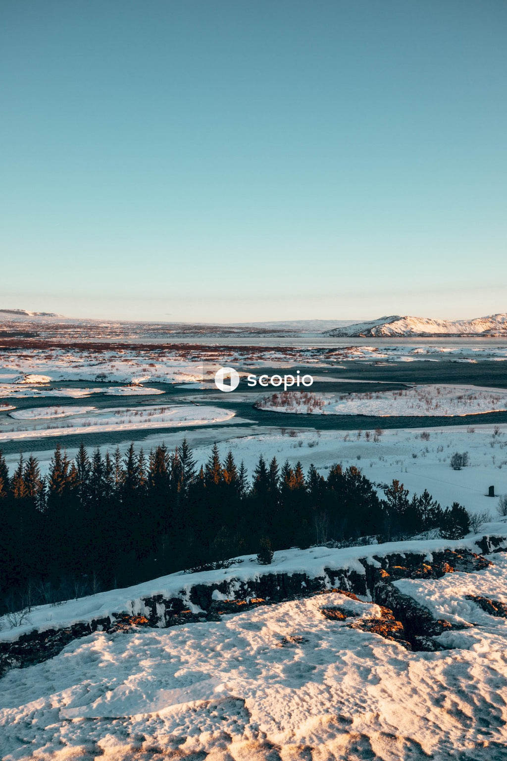 Snow covered field and trees near body of water