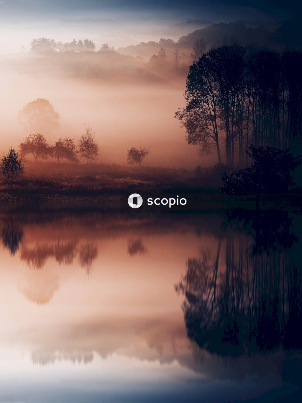 Body of water near trees during sunset