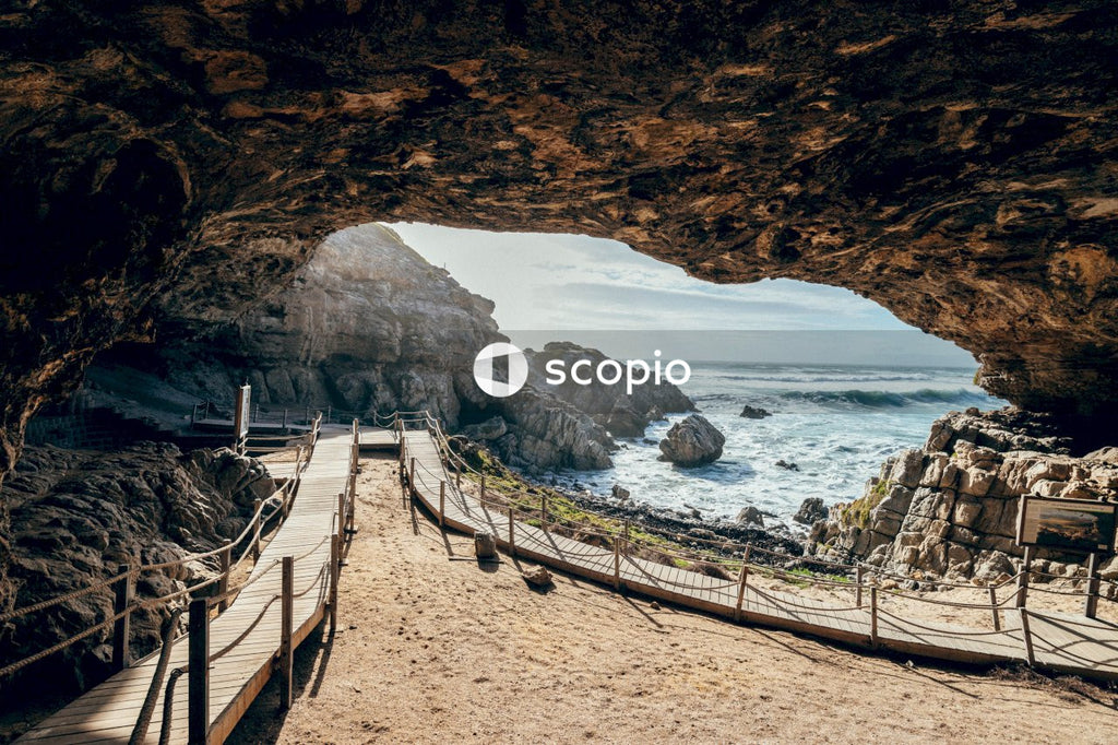 Brown wooden fence on beach shore