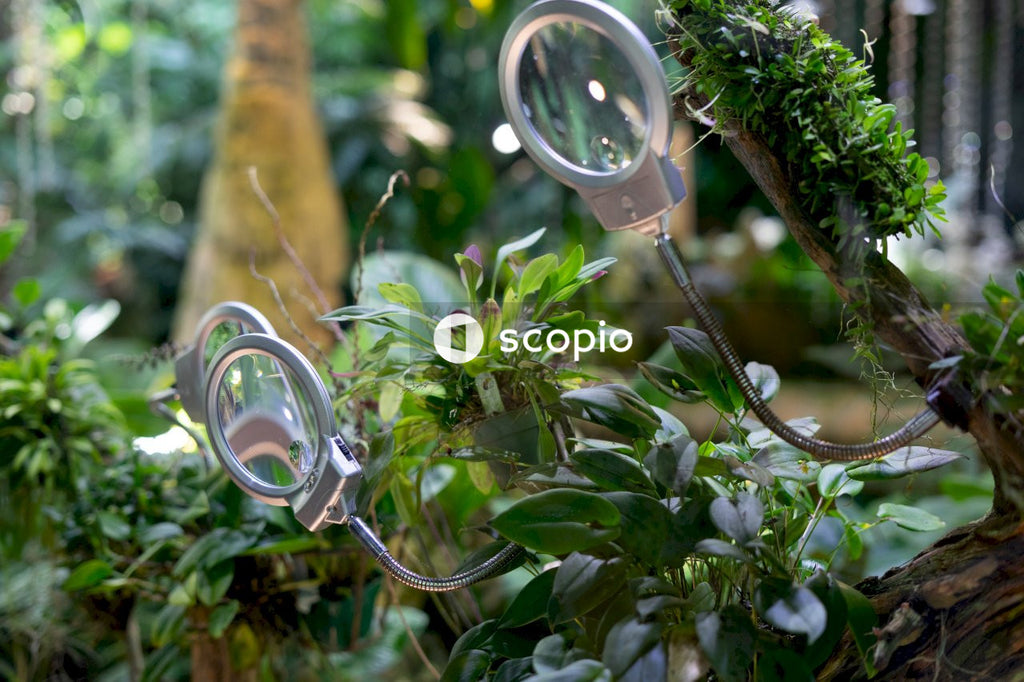 Silver round framed mirror on green plant