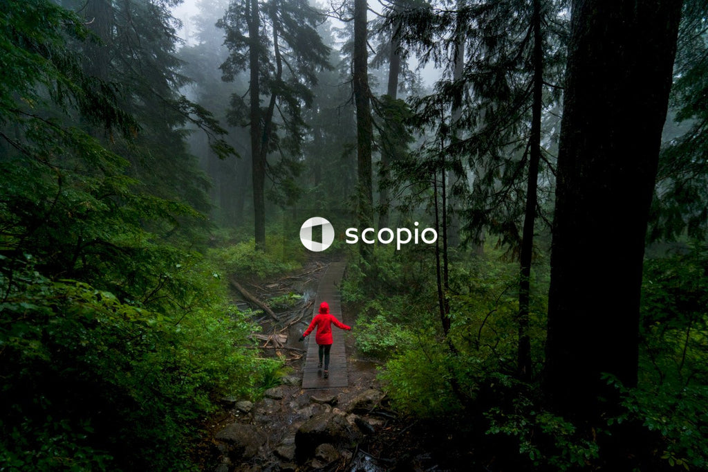 Person walking in woods