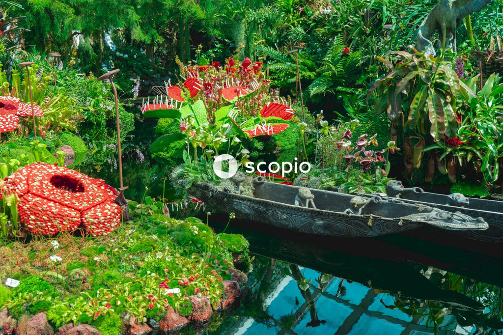 Red flowers on black boat