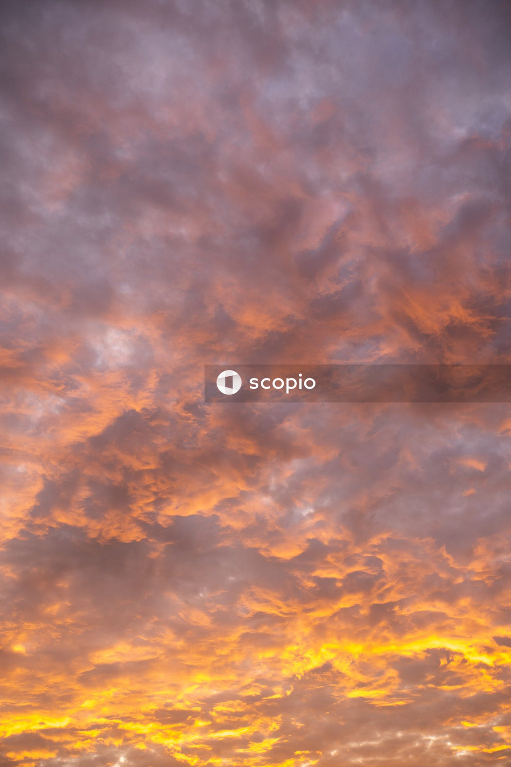 Reddish yellow sky