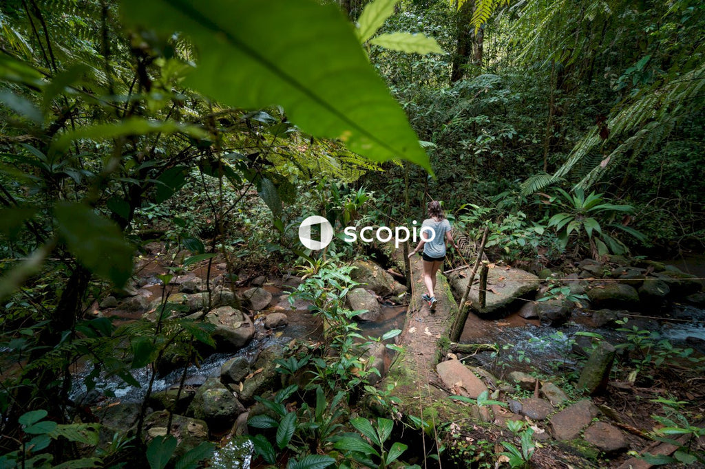 Woman walks on broken tree