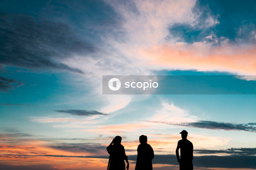 Silhouette of people standing on seashore during sunset