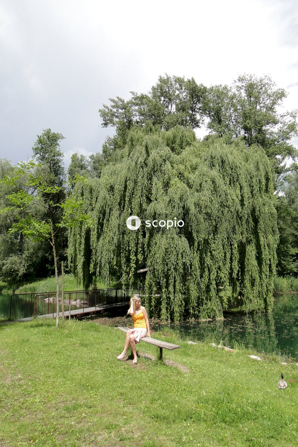 Woman on bench near green trees
