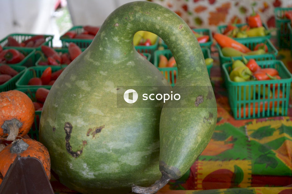 Green fruit on red and white table cloth