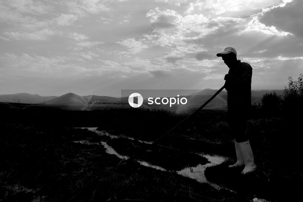 Grayscale photo of man cultivating the land