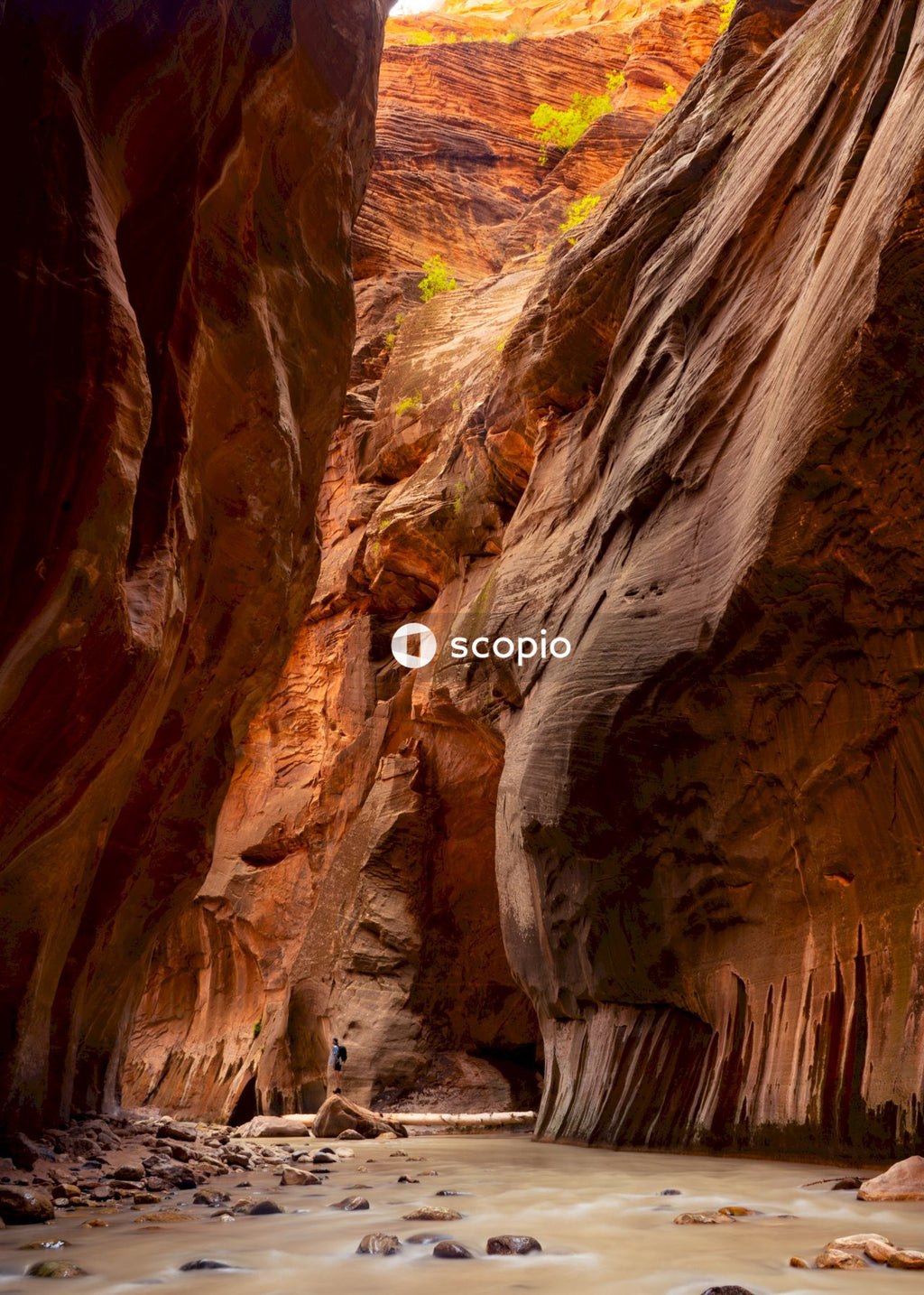 Brown rock formation