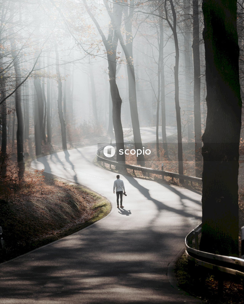 A Person in white shirt walking on a pathway between the trees