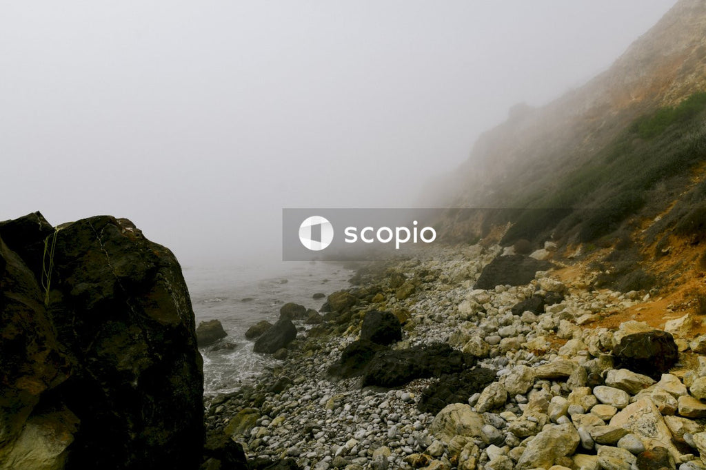 Rocky shore with fog