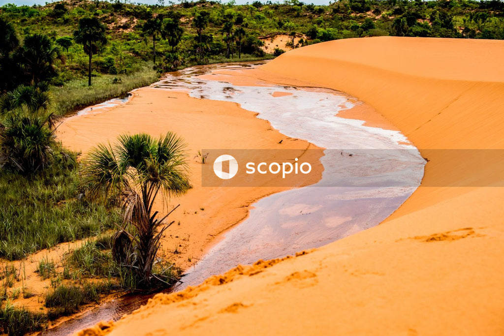 Sand dune scnery
