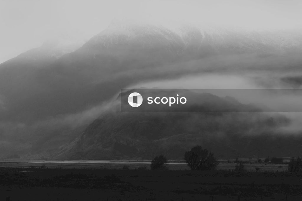 Grayscale photo of trees near mountain