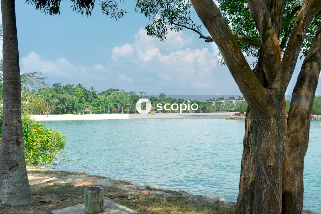 Green trees near body of water