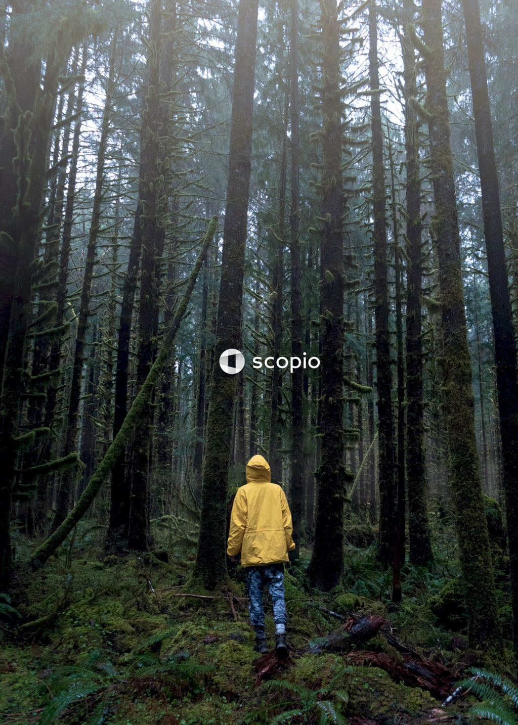 Person wearing yellow raincoat and blue pants looking at forest