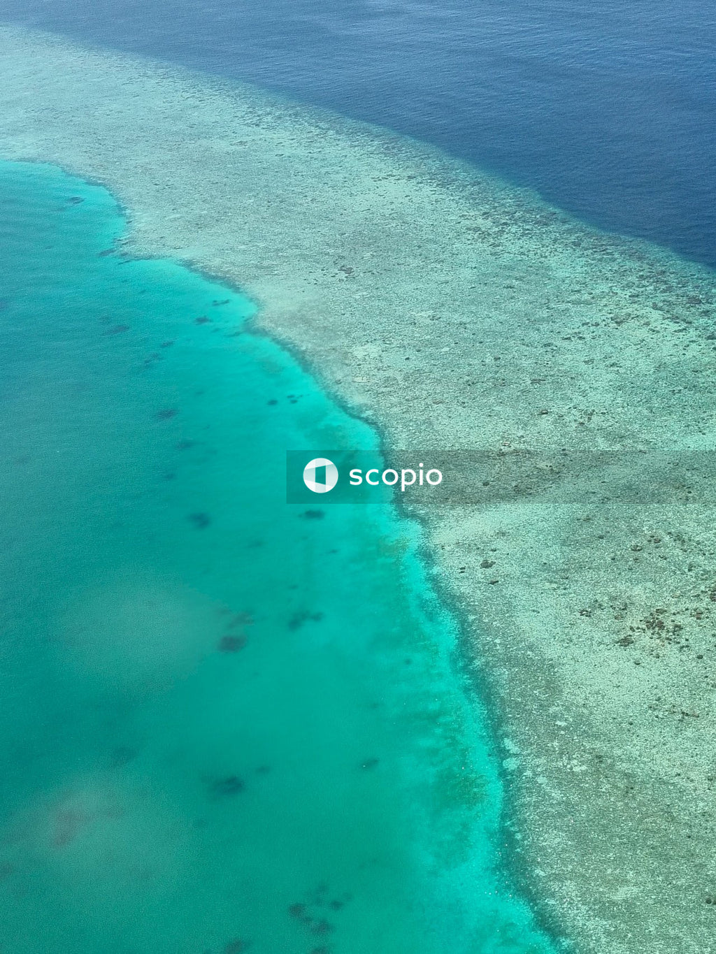 Aerial view of beach