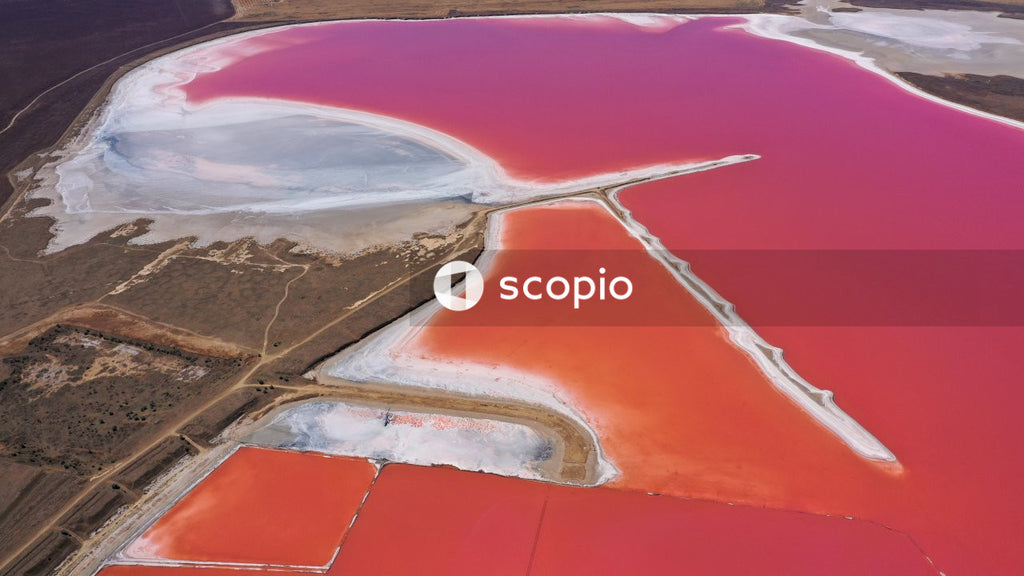 Aerial view of brown land