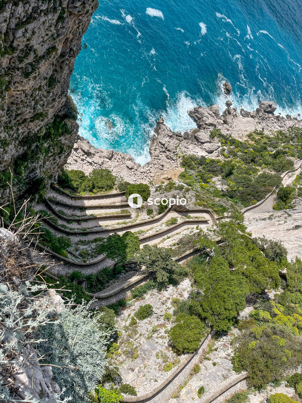 Aerial view of green trees and blue ocean water
