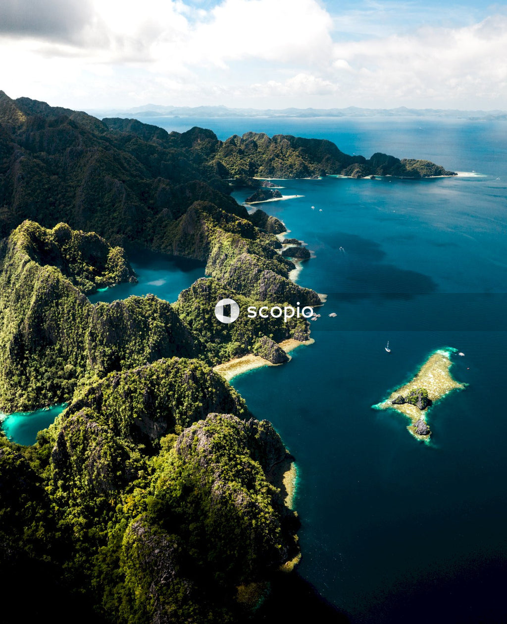 Aerial view of green trees and blue sea
