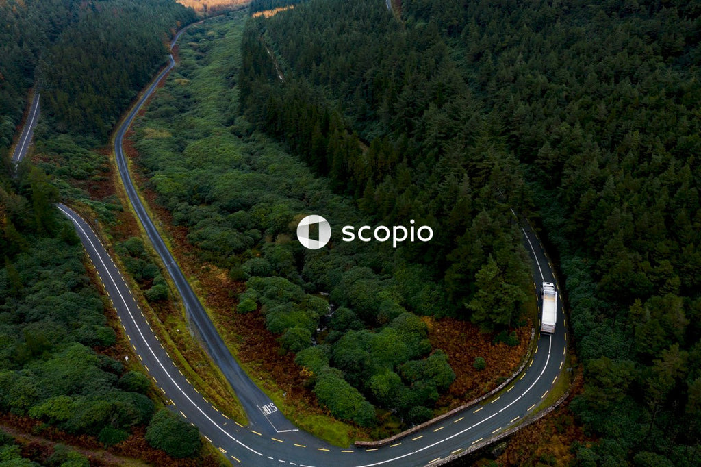 Aerial view of green trees and road