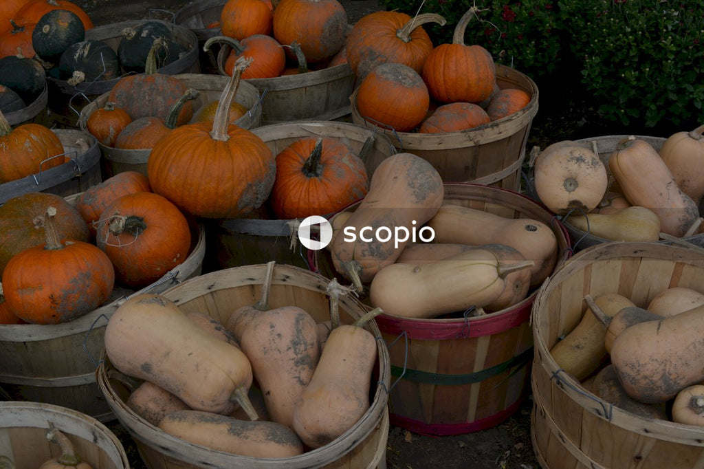 Orange pumpkin on brown wooden bucket