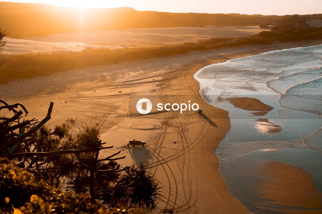 Warm Sunset Rays Kiss Waves as Palm Trees Sway on Shore
