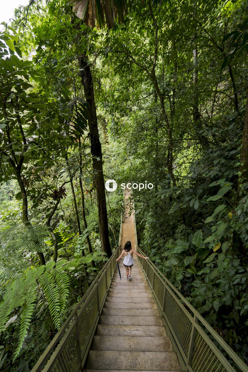 Woman walking down on an outdoor concrete stairs in forest