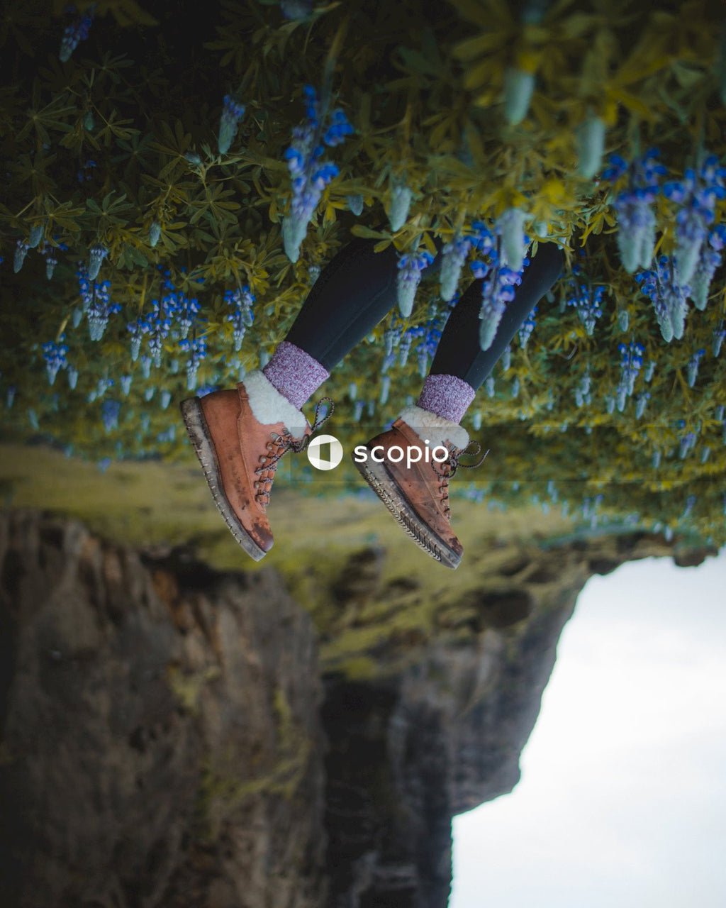 Upside down photo of person laying on blue grass with blue lupine flowers across rocky hill during daytime