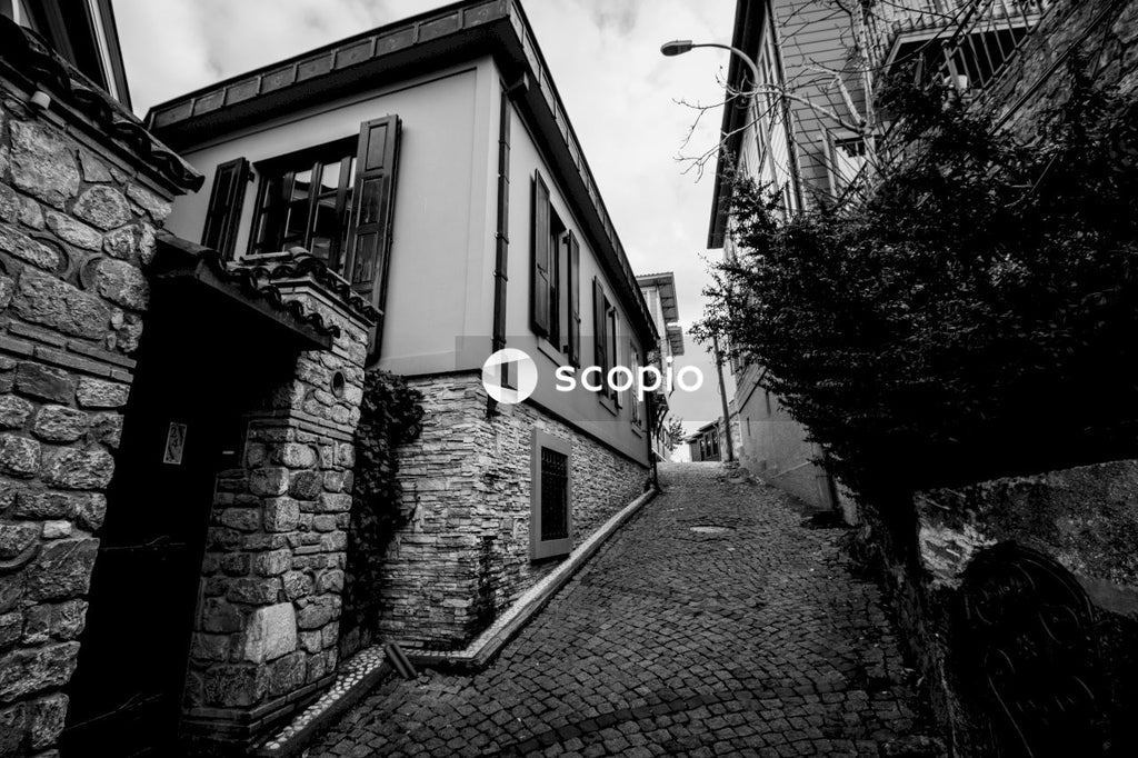 Grayscale photo of street between houses
