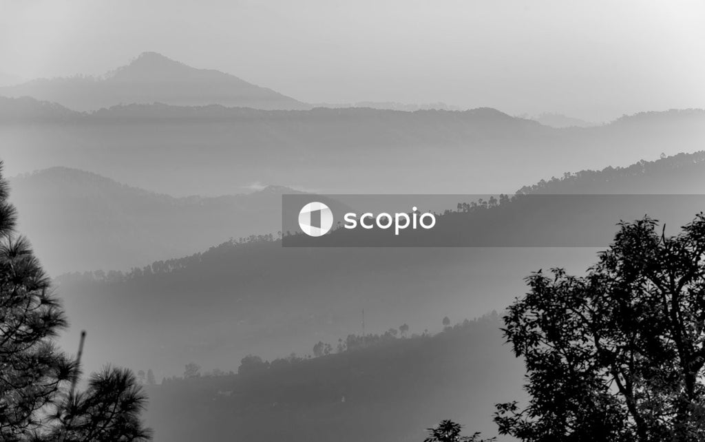 Grayscale photo of mountains and trees