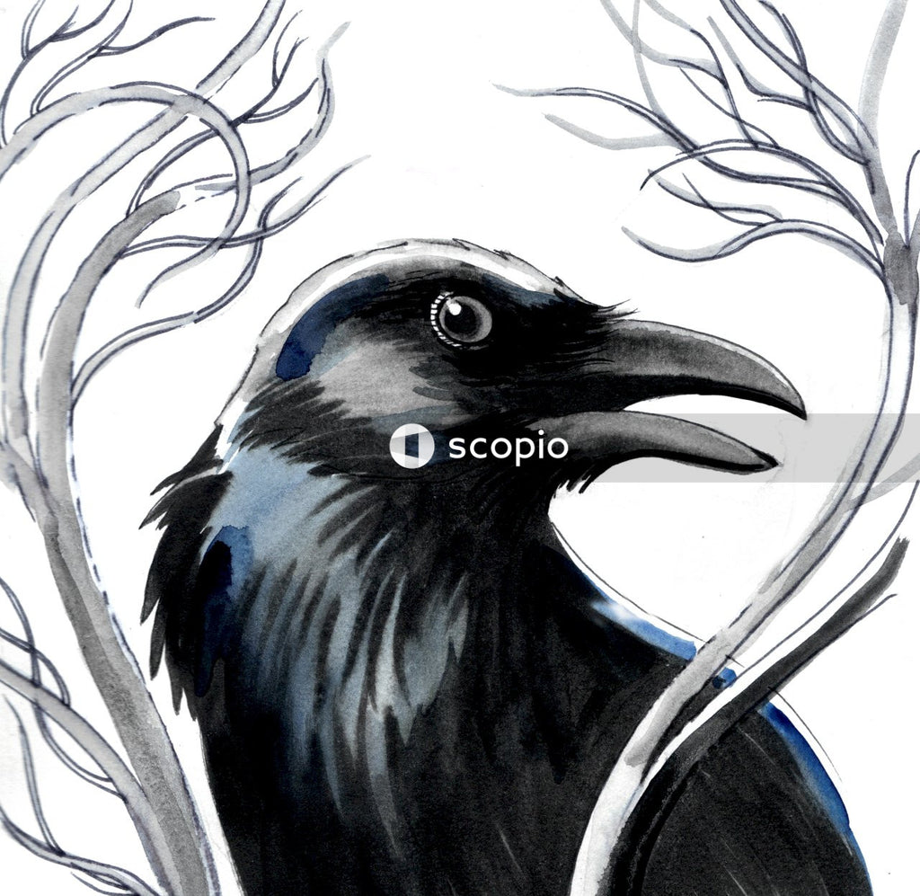 Black and blue bird illustration