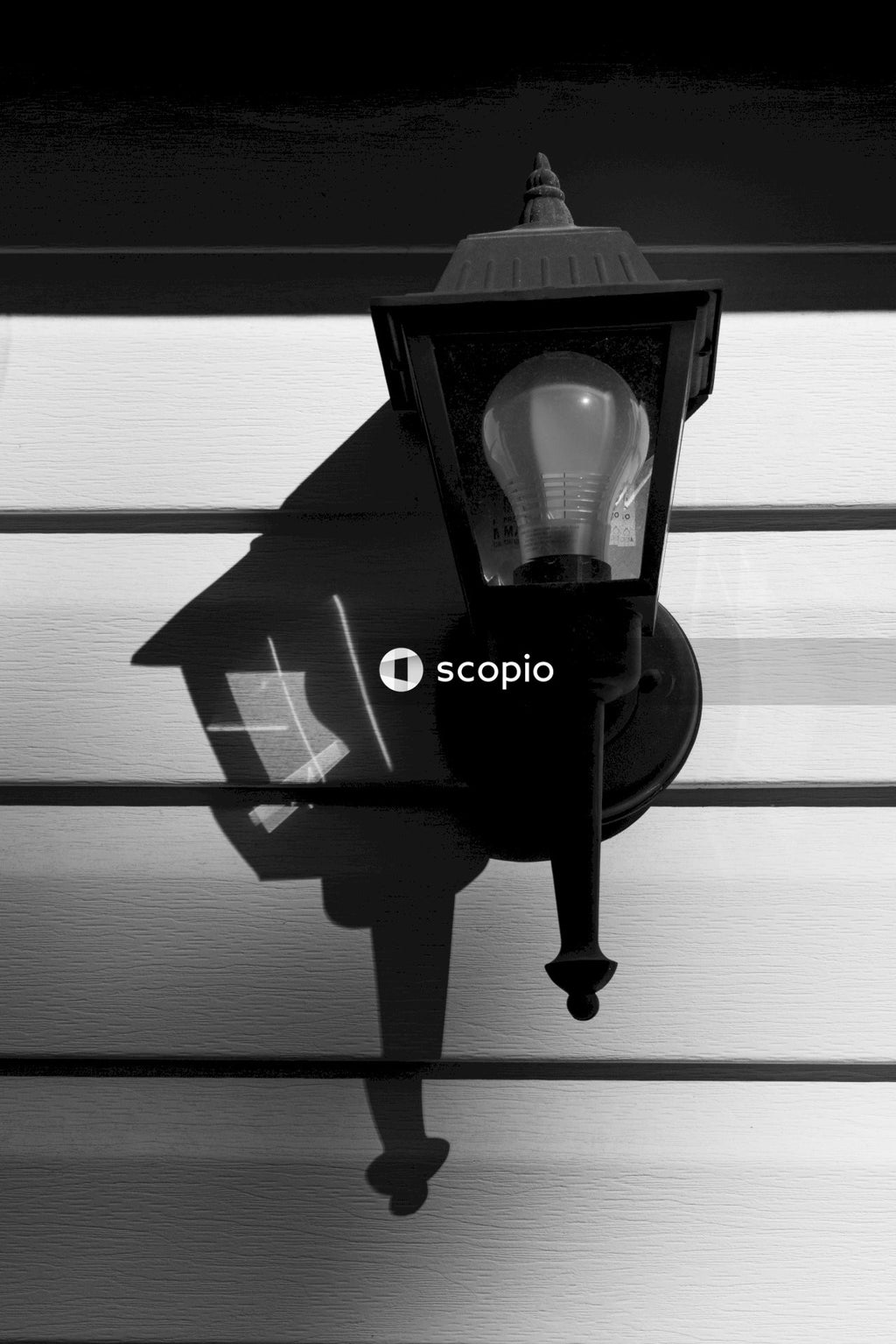 Black and clear light bulb