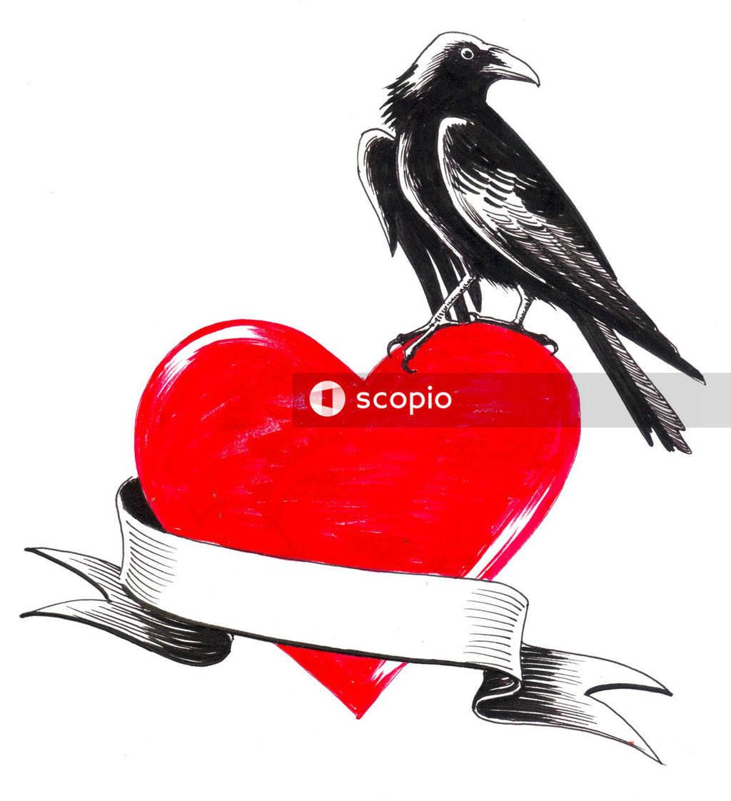 Black and white bird on red heart illustration
