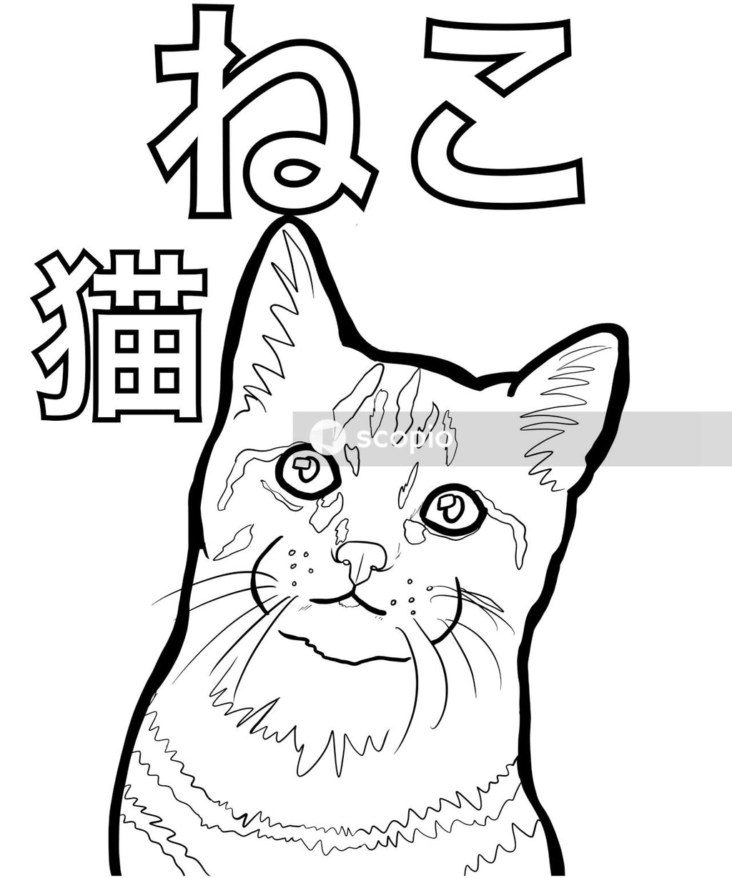Black and white cat illustration