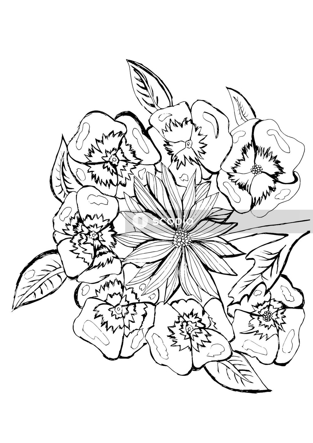 Black and white flower sketch